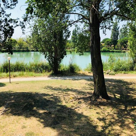 Appartement 239 Les Salicornes Арл Екстериор снимка